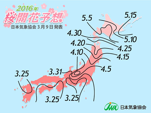 もうすぐ開花！ 桜前線3月21日からスタート 日本気象協会