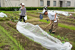 高齢者の自営農業は元気で長生き