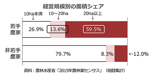 経営規模別の面積シェア