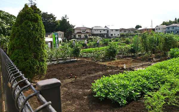 農業体験農園「緑と農の体験塾」（加藤農園）