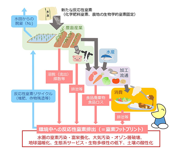 食の窒素フットプリント