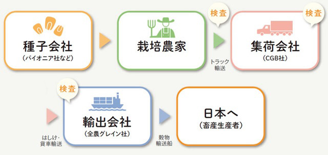 Non-GMトウモロコシが日本に届くまで