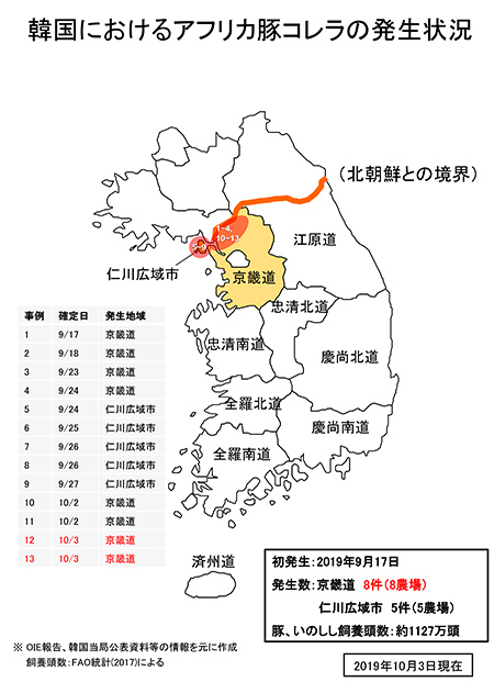 アフリカ豚コレラ　韓国13例目