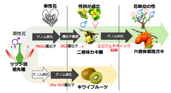 日本農学進歩賞受賞者の研究概要