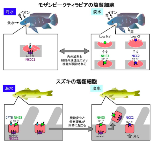 日本農学進歩賞受賞者の研究概要2