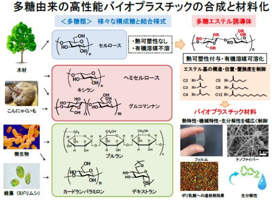 日本農学進歩賞受賞者の研究概要3