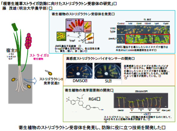 日本農学進歩賞受賞者の研究概要6