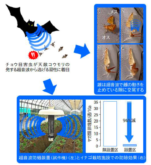 日本農学進歩賞受賞者の研究概要7