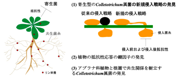 日本農学進歩賞受賞者の研究概要8