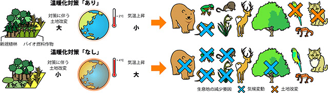 生物多様性保全と温暖化対策は両立できる　森林総研などが予測