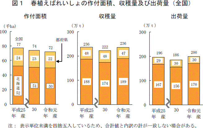 春植え馬鈴薯