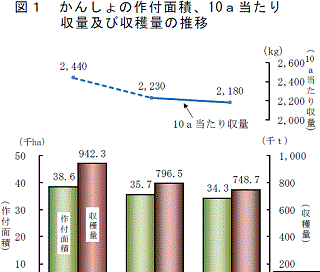 甘藷作付け面積