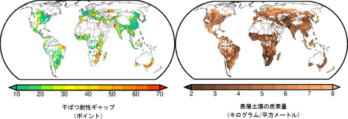 干ばつ耐性ギャップと表層土壌の炭素量