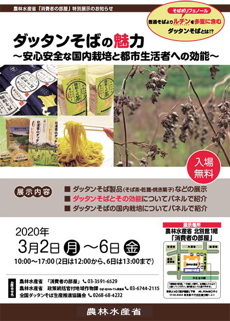 特別展示「ダッタンそばの魅力～安心安全な国内栽培と都市生活者への効能～」のチラシ