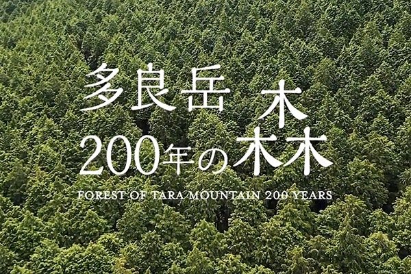 多良岳200年の森