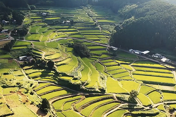 多良町の田園風景