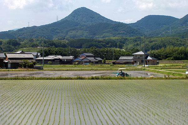 「住まいるあやがわ」の風景