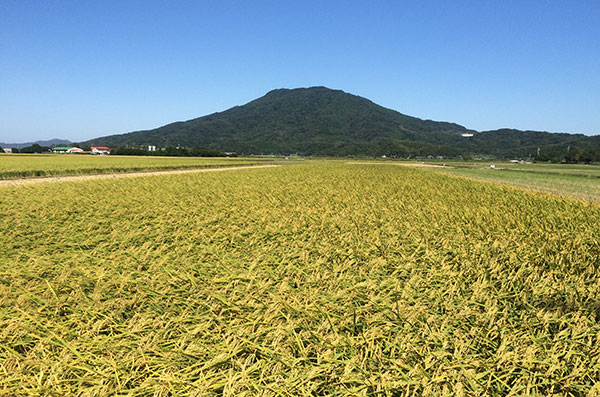 可也山と糸島の田園風景