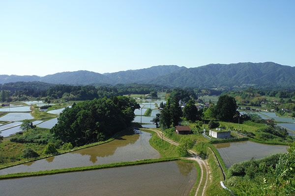 春の棚田風景