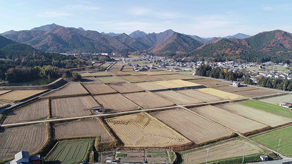 平坦地には水田が広がる市川町の農村風景