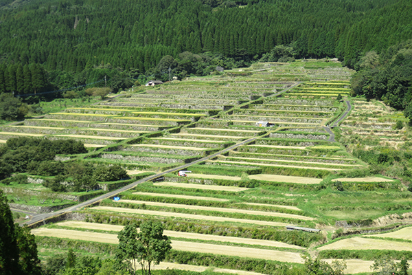 坂元棚田