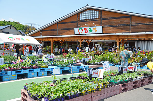 直売所「夢未来市」