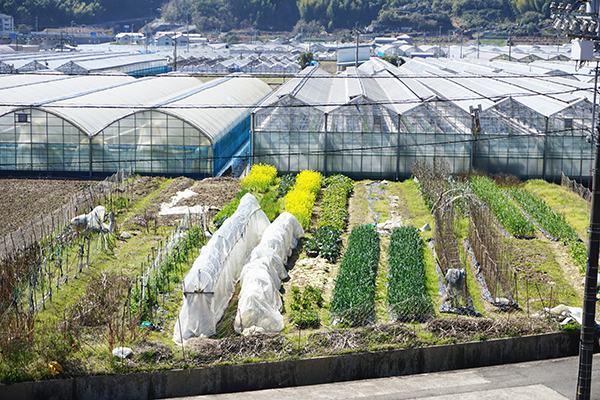 【農は国の宝なり】第10回　ＪＡと二人三脚で創る全国屈指の施設園芸産地　楠瀬耕作須崎市長インタビュー