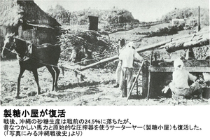 【普天間朝重ＪＡおきなわ代表理事専務】製糖小屋が復活 戦後、沖縄の砂糖生産は戦前の24.5％に落ちたが、昔なつかしい馬力と原始的な圧搾器を使うサーターヤー（製糖小屋）も復活した。（「写真にみる沖縄戦後史」より）