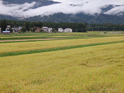 【ＪＡ改革の本質を探る】「農業補助金」とは安全保障のため 国民の命を守る食料守れ（下）