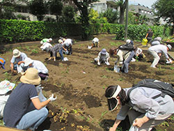 土とふれあう体験農園