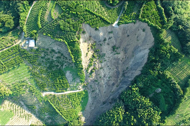 まるで蟻地獄のよう。いたるところで土砂崩れが起こったミカン園（宇和島市喜佐方で）