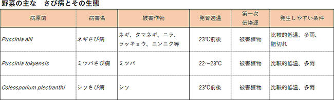 野菜の主なさび病とその生態