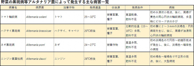 野菜の黒斑病等アルタナリア菌によって発生する主な病害一覧