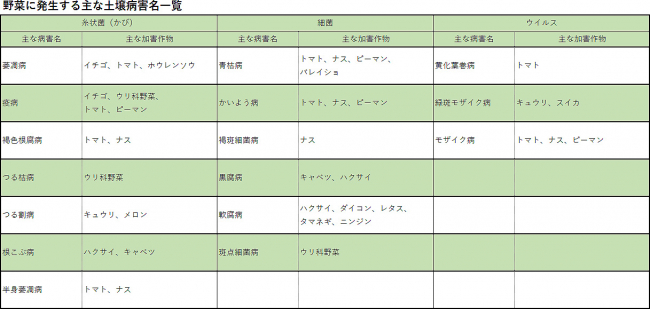 野菜に発生する主な土壌病害名一覧