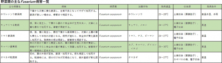 野菜類の主なFusarium病害一覧