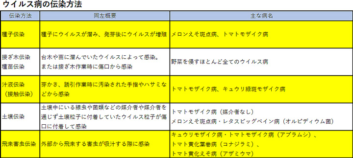 ウイルス病の伝染方法