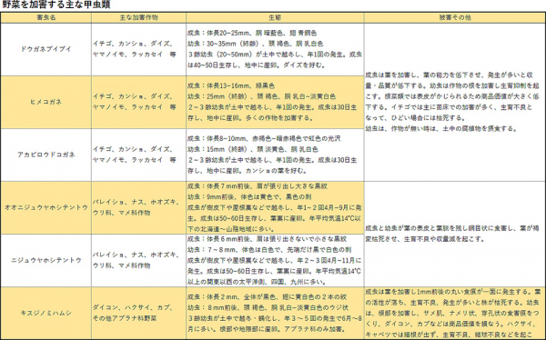 野菜を加害する主な甲虫類