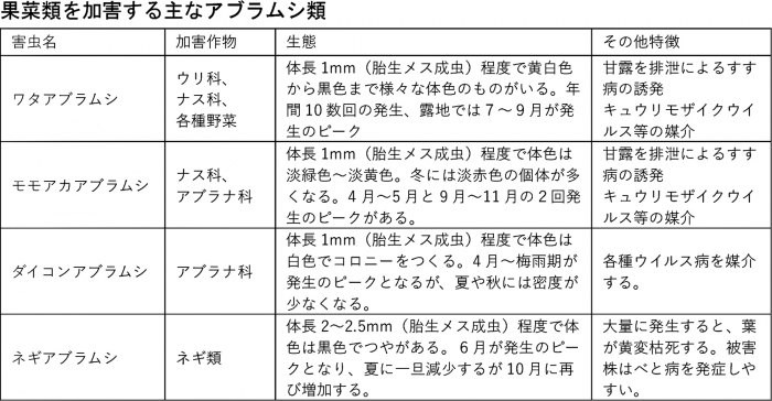 果菜類を加害する主なアブラムシ類
