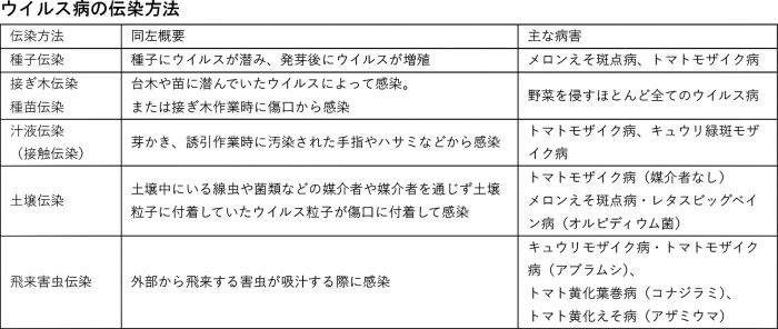 ウイルス病の伝染方法