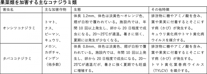 果菜類を加害する主なコナジラミ類