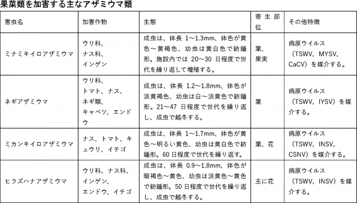 果菜類を加害する主なアザミウマ類