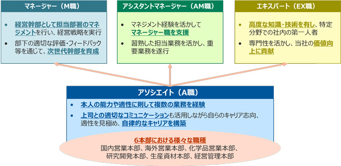 管理職層のキャリアパス複線化