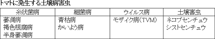 トマトに発生する土壌病害虫.jpg