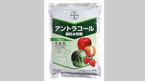 適用拡大情報　殺菌剤「アントラコール顆粒水和剤」　バイエルクロップサイエンス_01s.jpg