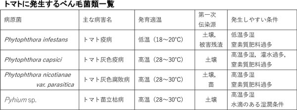 トマトに発生するべん毛菌類一覧