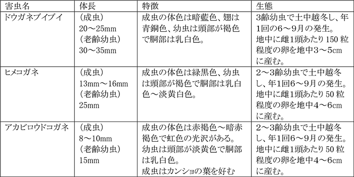 トマトを加害するコガネムシ