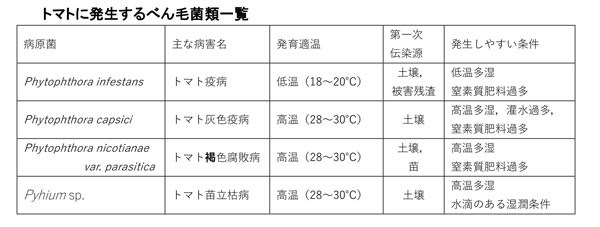 トマトに発生するべん毛菌類一覧