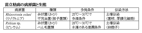 苗立枯病の病原菌と生態