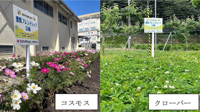 JCPA農薬工業会の「蜜蜂フレンドシップ計画」に参画　住友化学