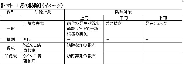 トマト　1月の防除